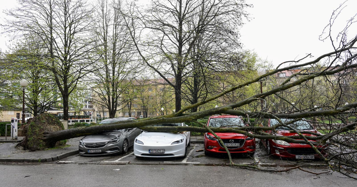 Hrvatske šume: Na Medvednici i u zagrebačkim parkovima je opasno po život