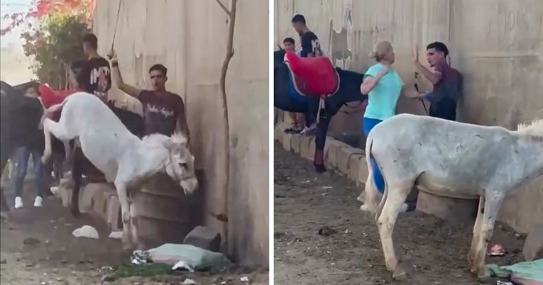 Veterinarka u Egiptu napala muškarca, bičevao je magarca. "Vrijedilo je"