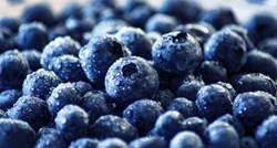 Čudesne plave bobice stižu na tržnice, a pravo su bogatstvo za vaše zdravlje