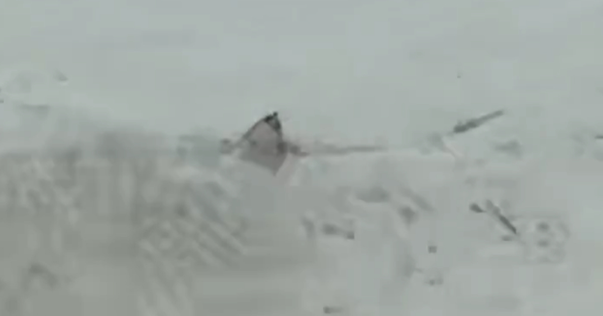 VIDEO Morski pas pliva ulicama u New Jerseyju