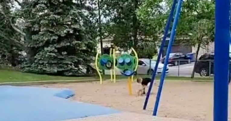 Slomljena majka: Mom sinu nitko nije došao na rođendan, sam se morao igrati u parku
