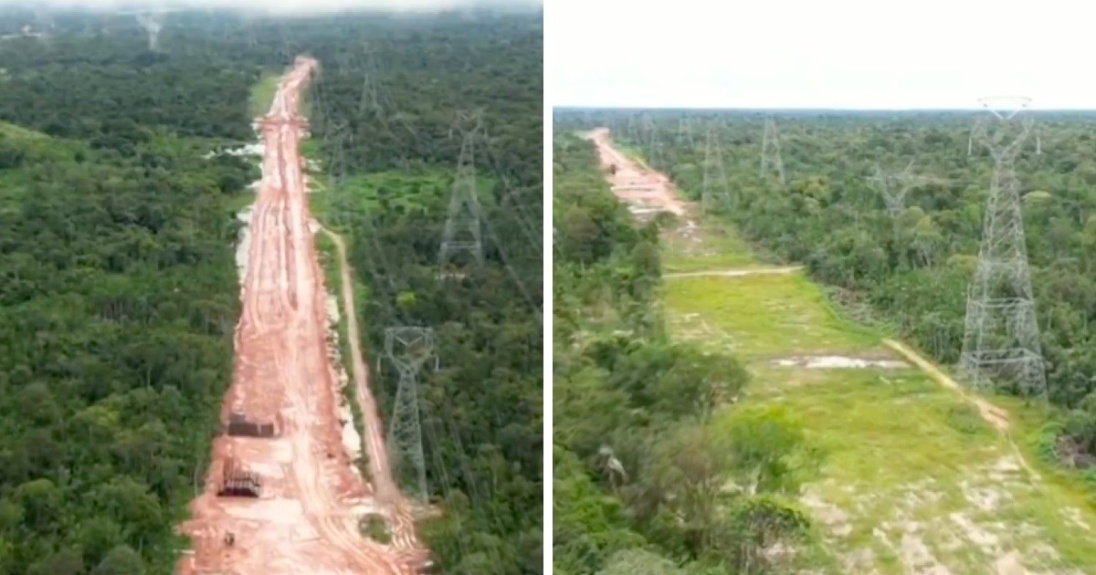 U Brazilu posjekli prašumu da izgrade autocestu za klimatski summit