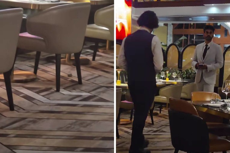 VIDEO Miševi trčali po luksuznom restoranu slavnog kuhara, gosti sve snimili