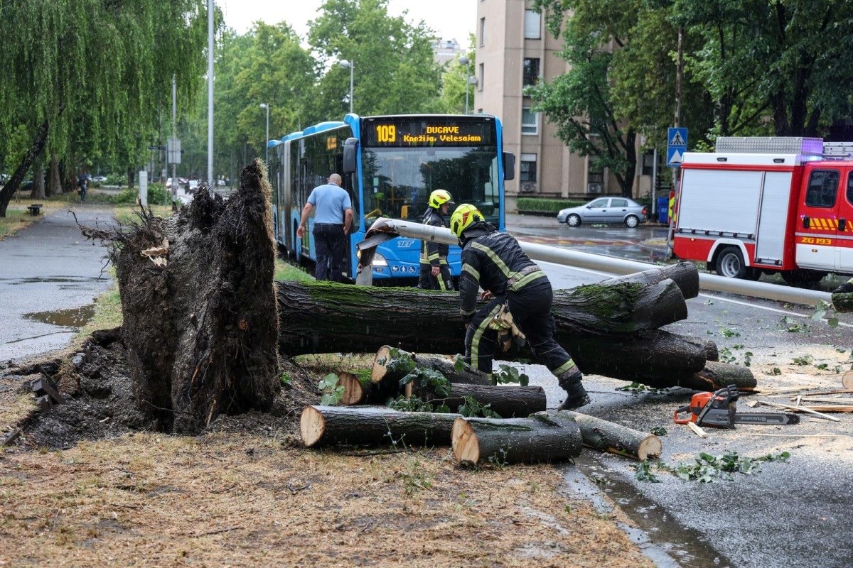 FOTO Pogledajte razmjere štete u Zagrebu. Stabla padala na aute, oštećen krov škole