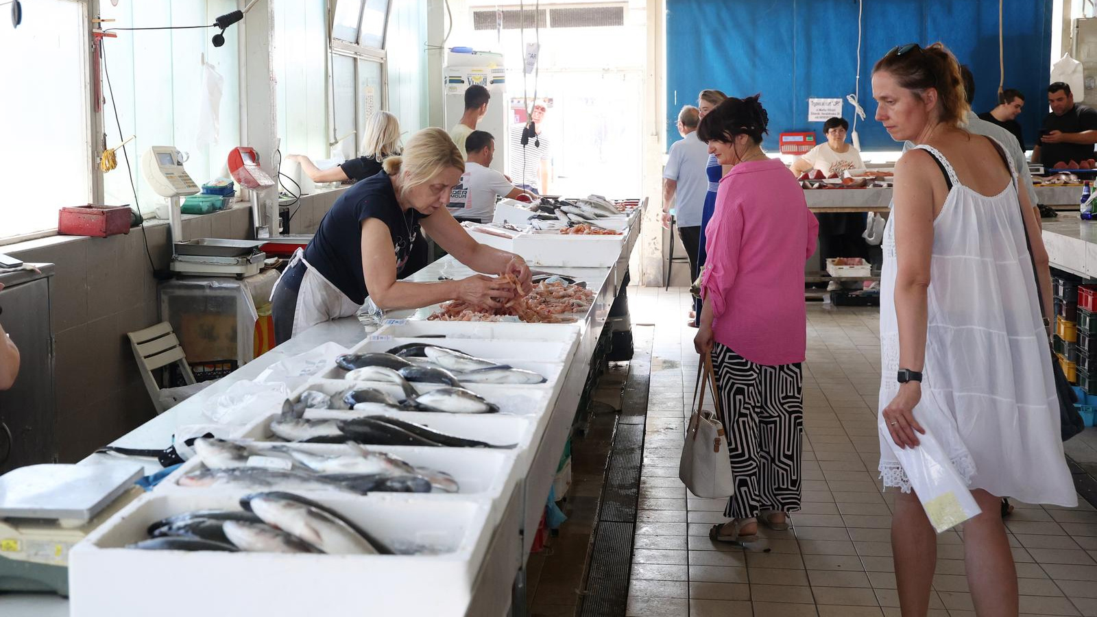 FOTO Ponuda ribe na splitskoj ribarnici: Ima ribe za svačiji budžet