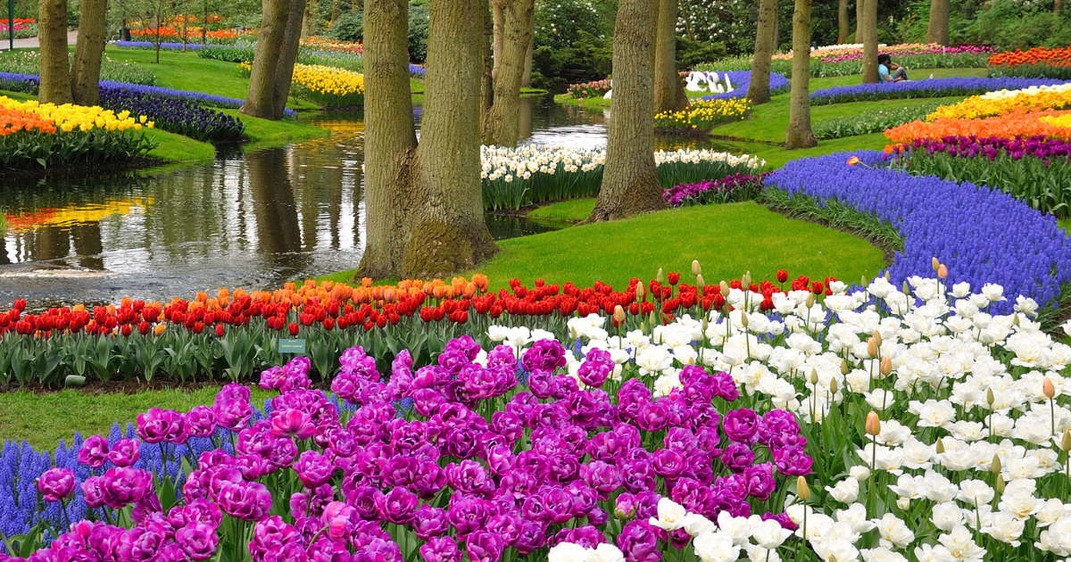 Najljepši botanički vrt na svijetu otvoren je za posjetitelje, ima posebnu atrakciju