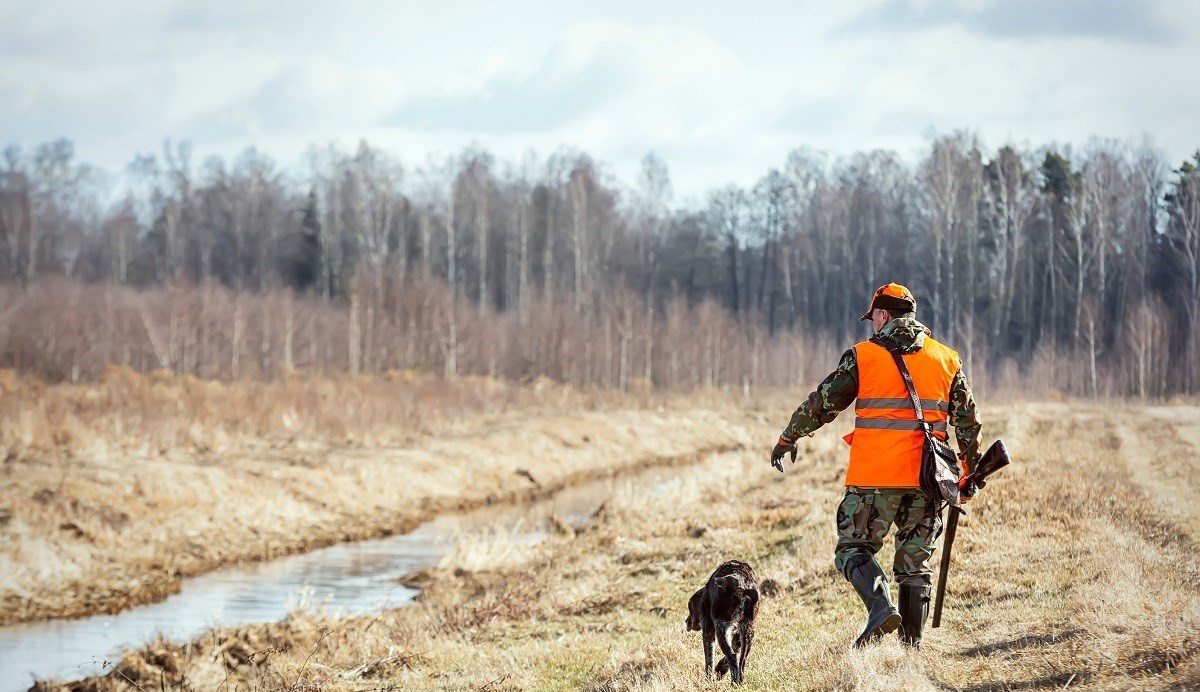 Lažne lovačke dozvole kupovali su nogometaši, zaposlenici ministarstava, krojačica