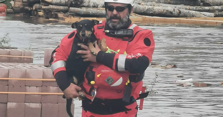 HGSS spasio psa iz poplave u Gračacu