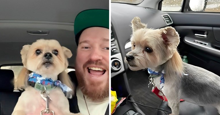 Vlasnik odveo psa na šišanje, njegova nova frizura nasmijala milijune