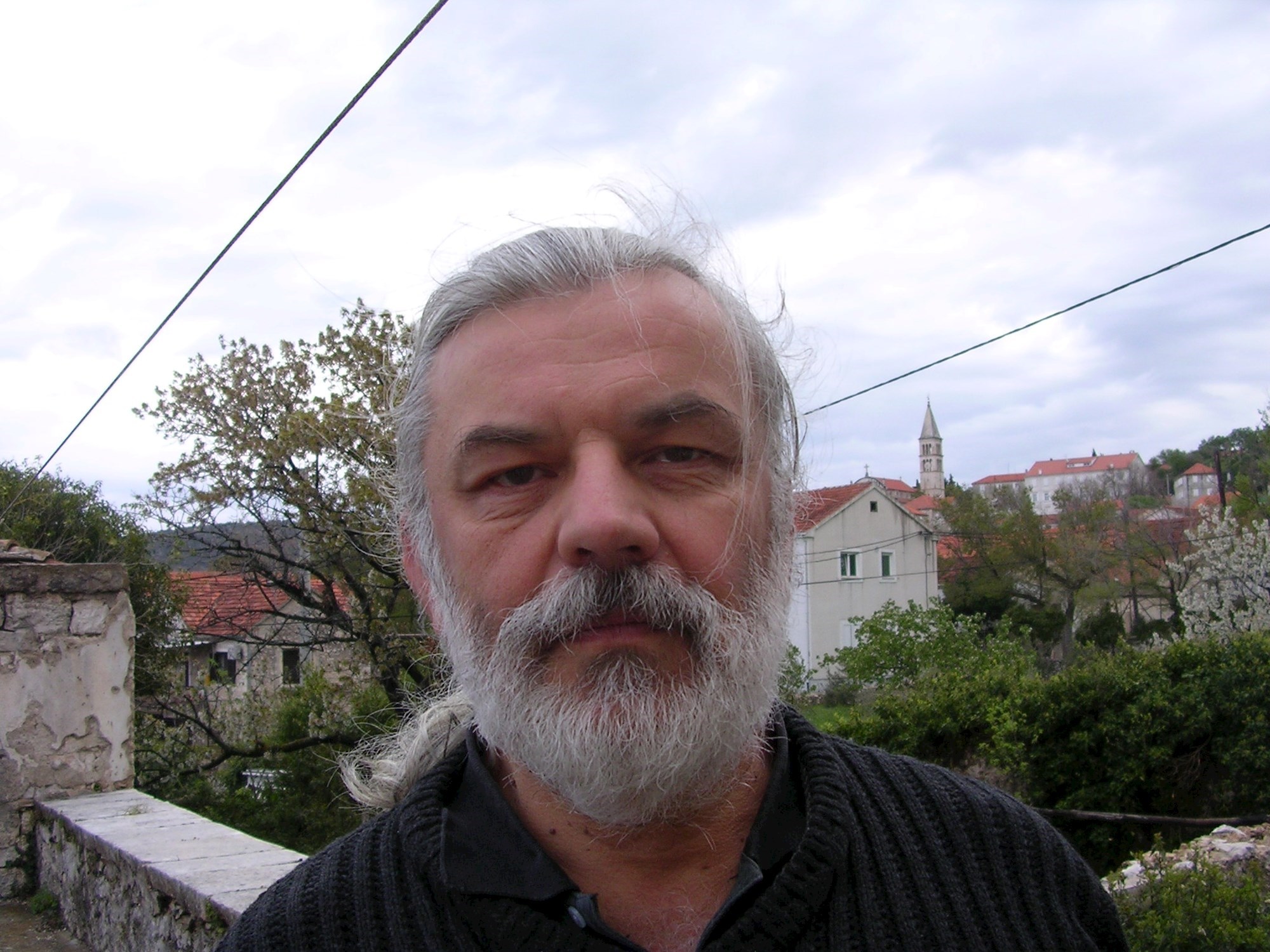 Srđan Dvornik