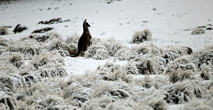 Australce iznenadio snijeg, u dijelovima zemlje palo više od jednog metra