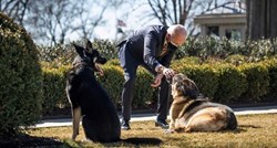 Bidenovi psi mjesec dana nakon incidenta vraćeni u Bijelu kuću