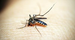 Mogu li komarci prenijeti koronavirus na ljude?