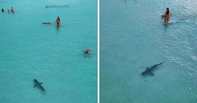 Žena se kupala sa psom, a onda je primijetila nešto neočekivano