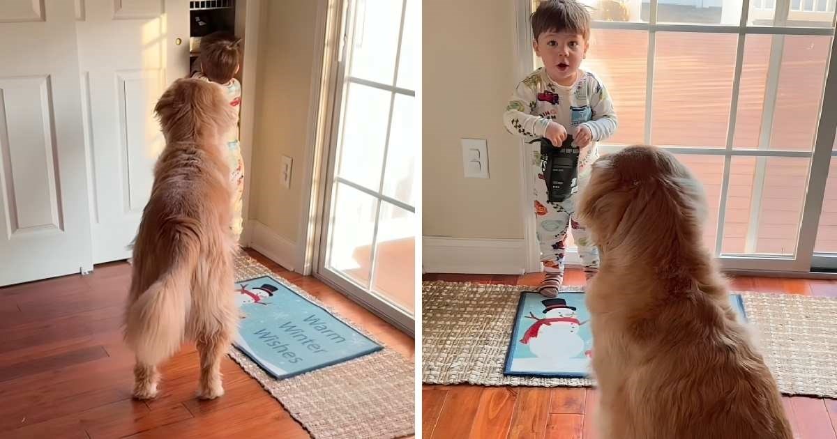 Dječaka oduševio zlatni retriver koji je poslušao njegovu prvu naredbu