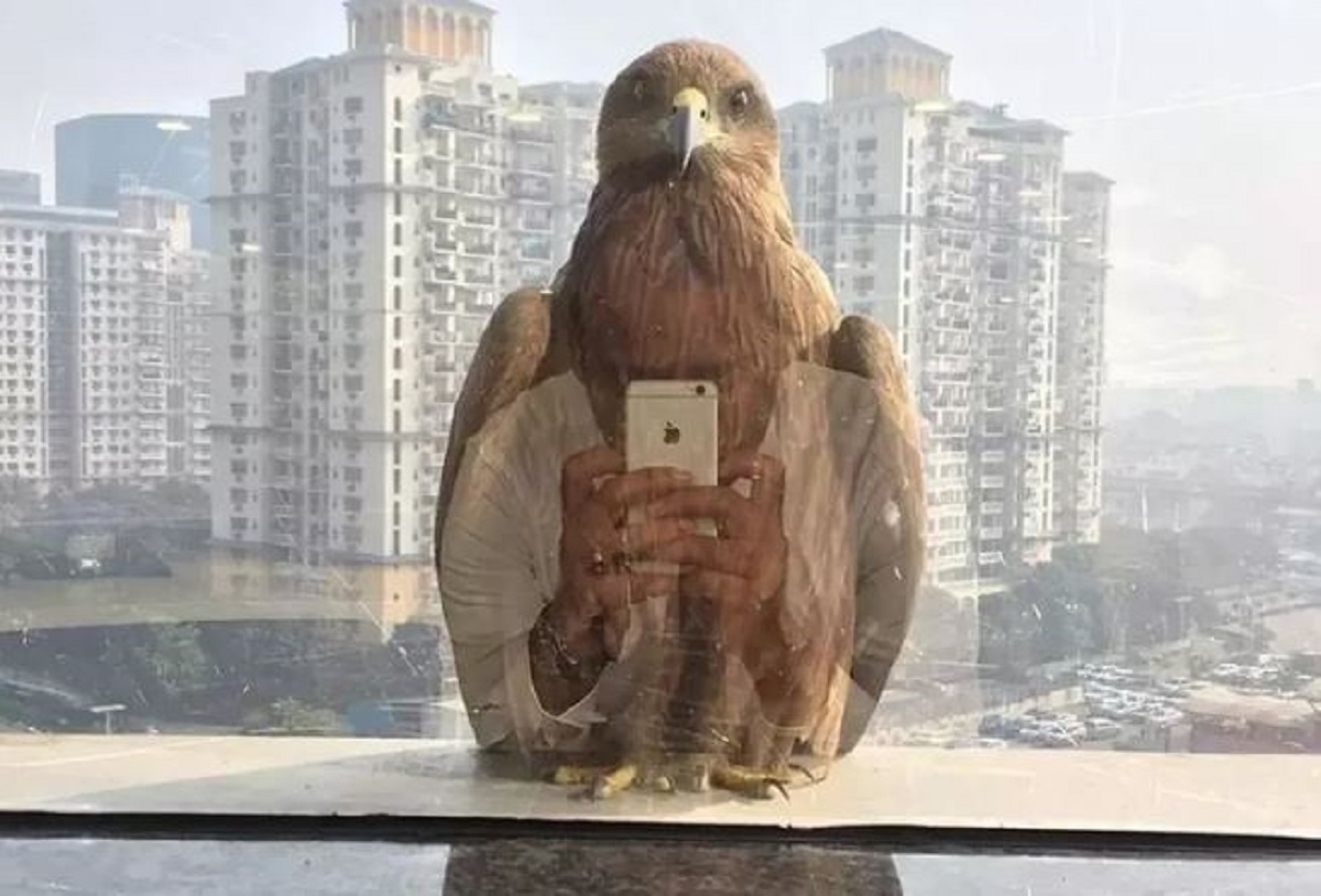 17 savršeno tempiranih fotografija u koje je teško povjerovati da su se dogodile