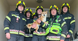 Zagrebački vatrogasci spasili psa koji je zaglavio u liftu