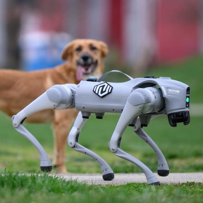 VIDEO Ovaj robotski pas je iz Velike Gorice. Pogledajte što sve može