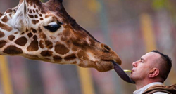 Riste i njegova žirafa o kojoj se brinuo 12 godina umrli su istog dana