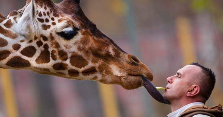 Riste i njegova žirafa o kojoj se brinuo 12 godina umrli su istog dana