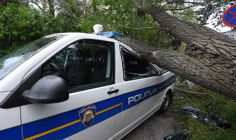 FOTO U Šibeniku stablo palo na policijski kombi i razbilo ga