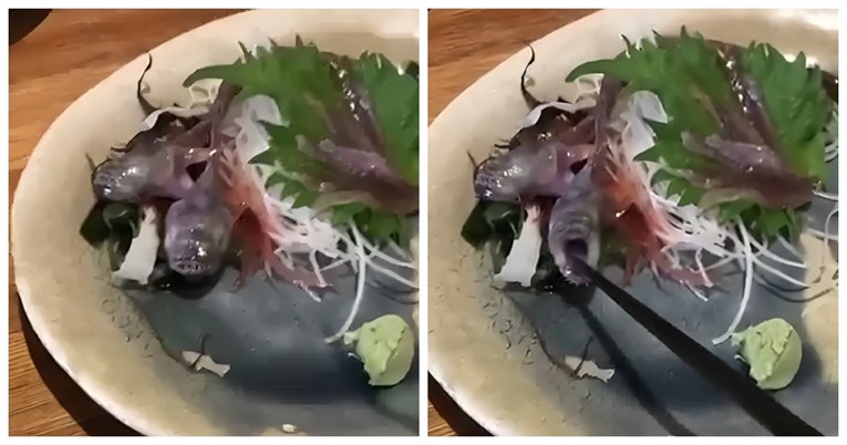 VIDEO Naručio ribu u restoranu, a ono što se zatim dogodilo ostavilo ga je u šoku 