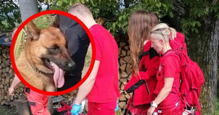 Mlada žena nestala kod Pleternice, spasio je HGSS. Ključnu ulogu odigrao potražni pas