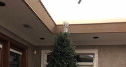 Klinac okitio božićno drvce, rezultat je urnebesan: "Mačke će biti oduševljene"