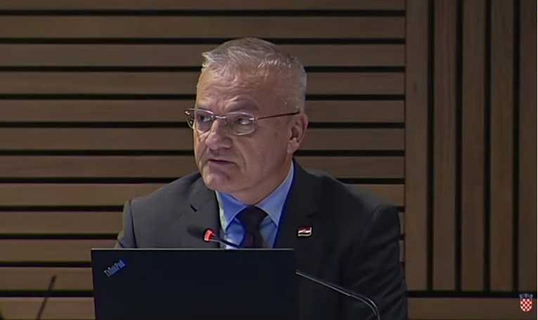 Državni tajnik: Premalo je zastupljena uloga hrvatskih iseljenika u Domovinskom ratu