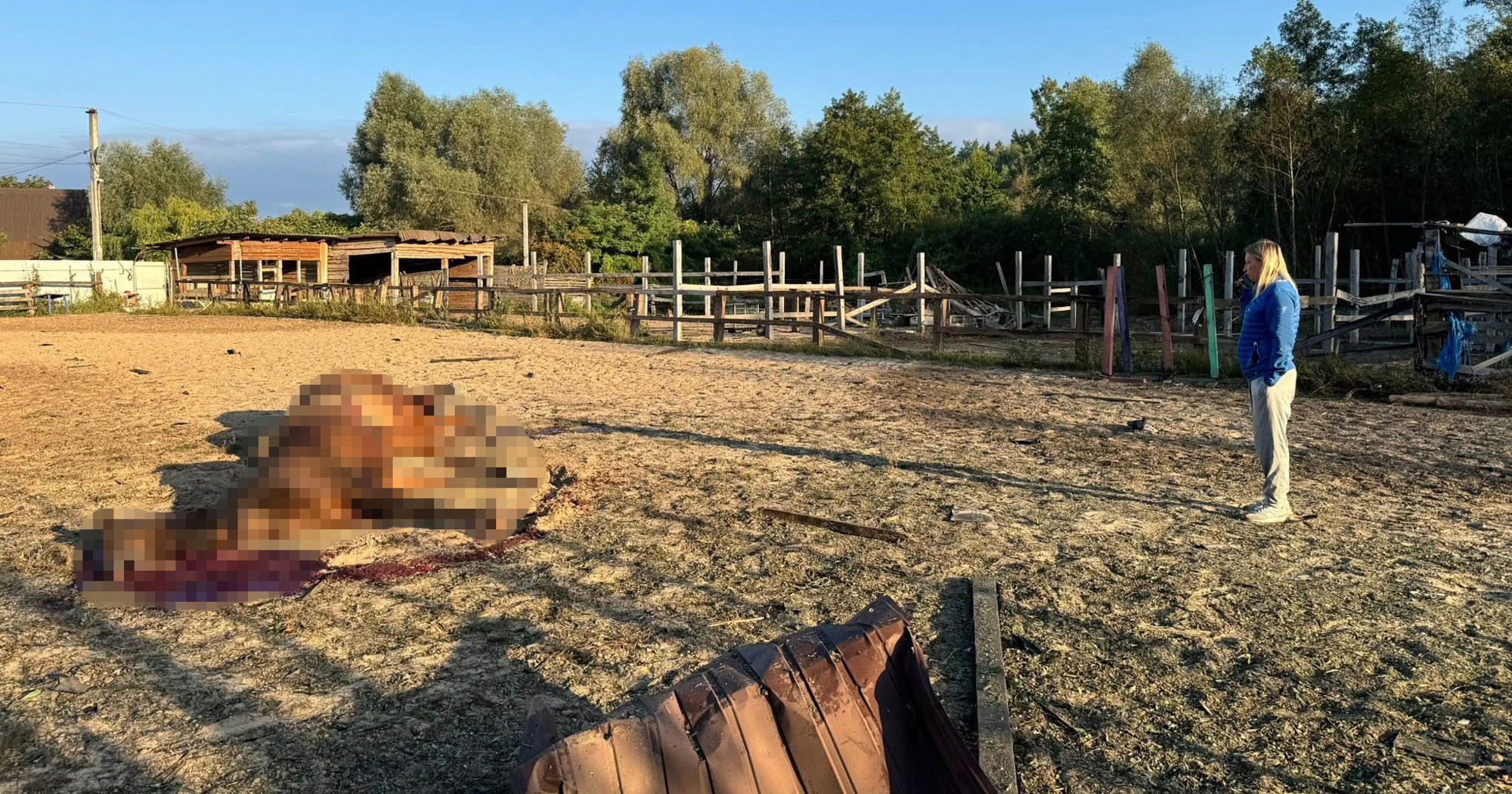 VIDEO Ruski dron pogodio konjički klub kod Kijeva, stradalo sedam konja