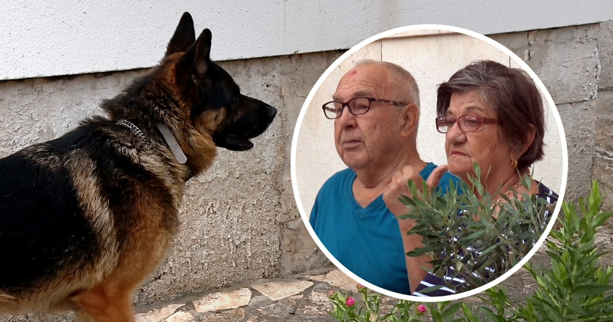 Par iz Zadra štrajka glađu zbog susjedova psa: "Ne možemo spavati zbog laveža"