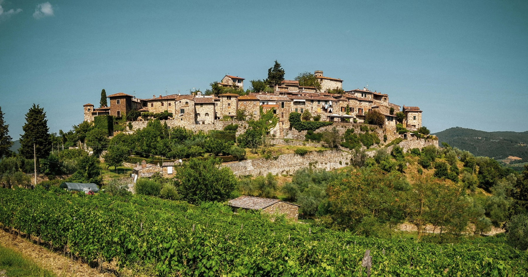 Italija ostala najveći proizvođač vina na svijetu, Španjolska ima najviše vinograda