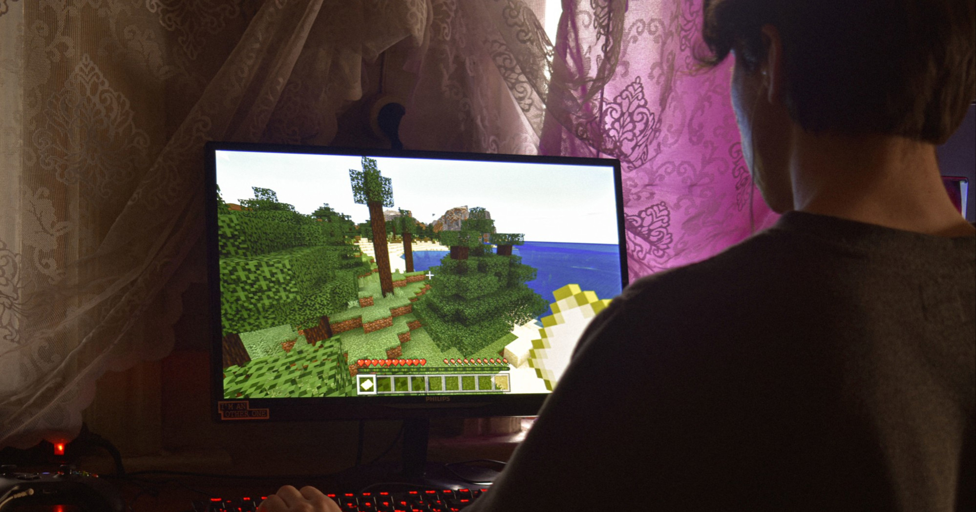 Majka obrisala sinu Minecraft svijet zbog trojke iz matematike, dobila hrpu kritika