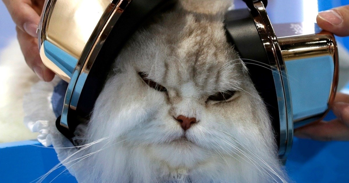 Završen najveći sajam kućnih ljubimaca, posjetilo ga je 225 tisuća ljudi