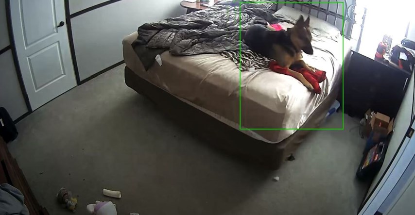 Vlasnica nije mogla vjerovati što pas radi kad je nema, kamera je sve otkrila