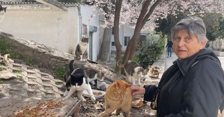 Umirovljena profesorica u Splitu brine o mačkama lutalicama čiji skrbnici su umrli