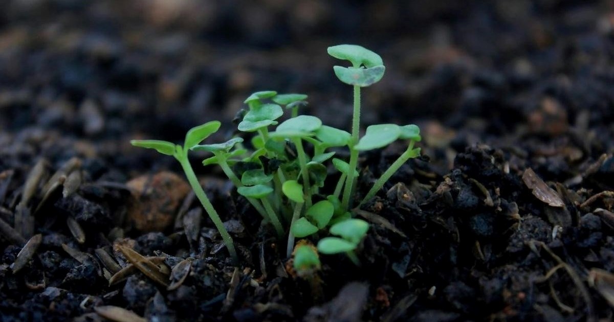 Objavljen natječaj za dodjelu potpora poljoprivrednicima vrijedan 1,6 milijuna eura