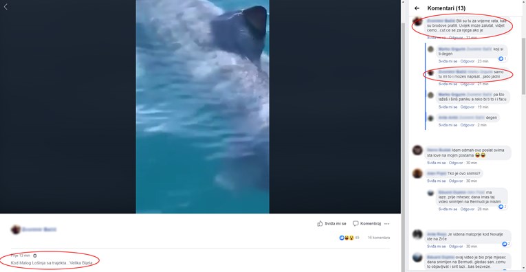 VIDEO Društvenim mrežama širi se lažna snimka velike bijele psine kod Lošinja