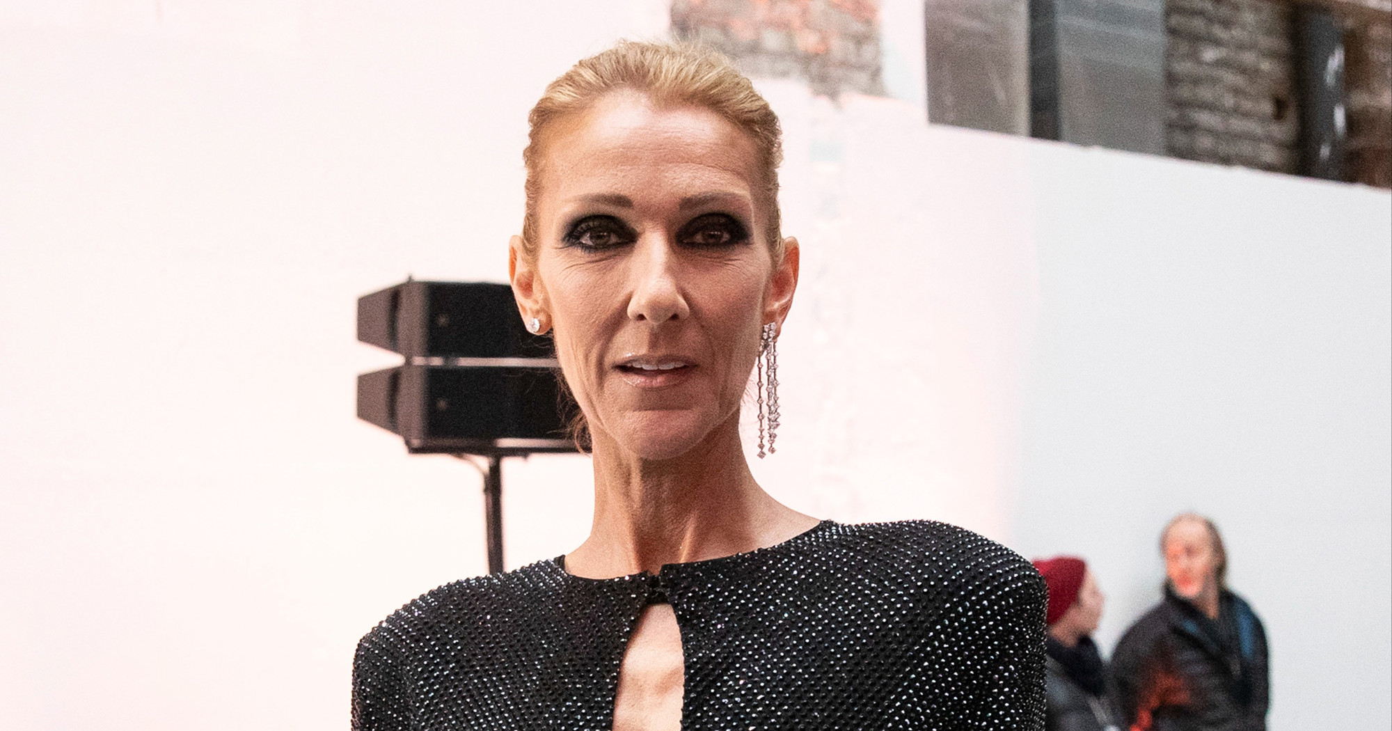 Celine Dion najavila 10 dodatnih koncerata u Parizu u svibnju 2027.