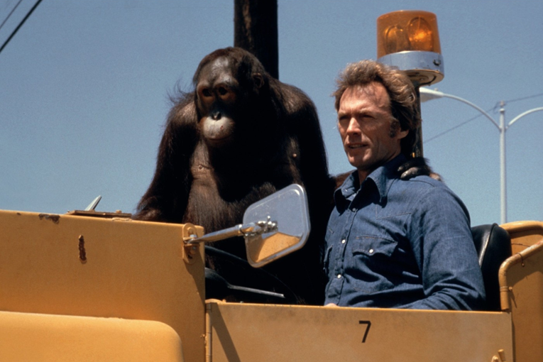 Agenti su savjetovali Eastwoodu da ne snimi ovaj film, no on je odlučio riskirati