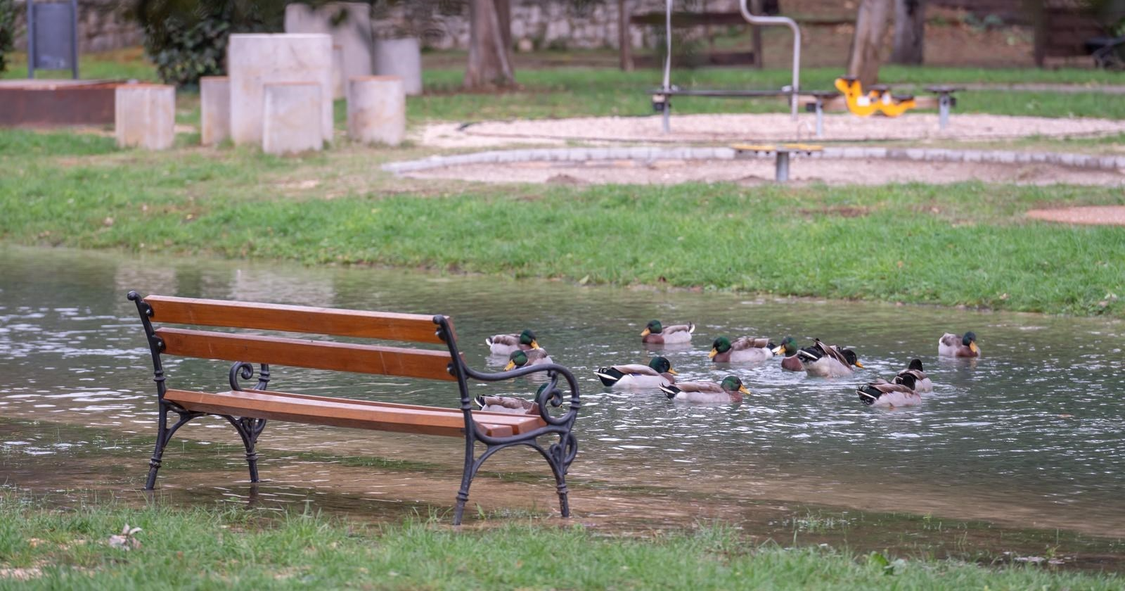 U poplavljenom zadarskom parku Vruljica umjesto šetača uživaju patke