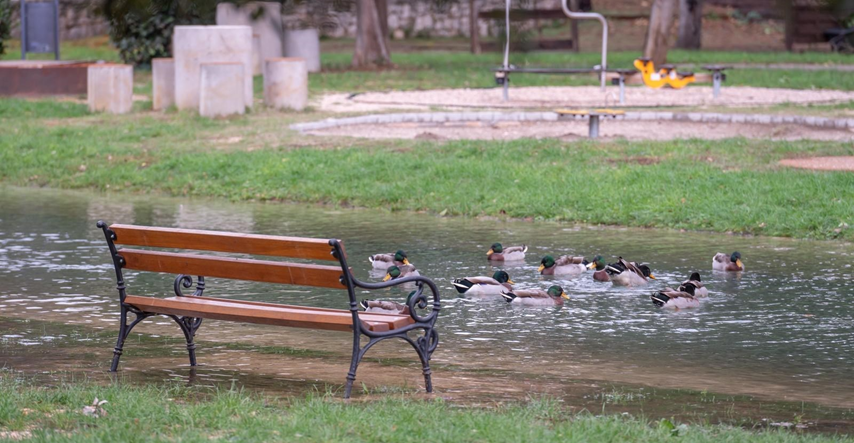 U poplavljenom zadarskom parku Vruljica umjesto šetača uživaju patke