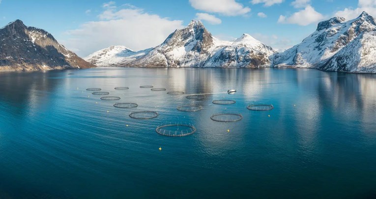 Oglas za posao u Norveškoj postao hit. Iskustvo nije potrebno, plaća je 3000 eura