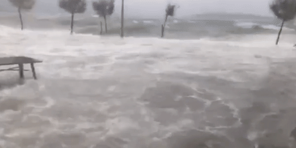 VIDEO Oluja potopila Jadran: Vjetar čupao stabla, more poplavilo gradove...