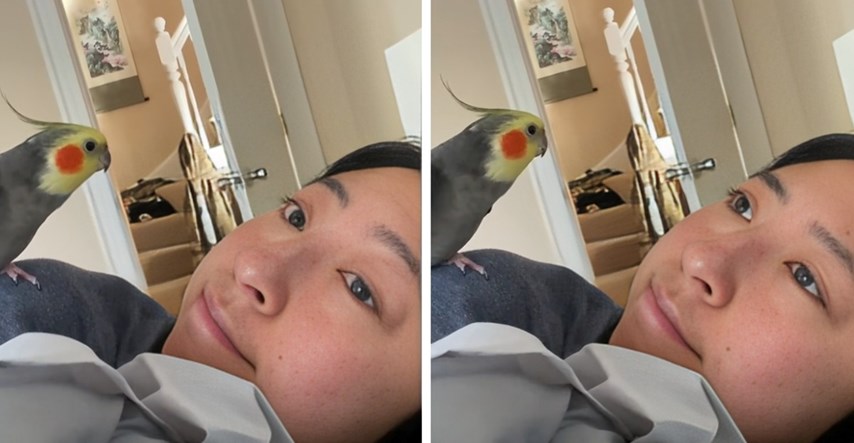 Ova žena ima najbolji alarm na svijetu, pogledajte kako je svako jutro budi papagaj