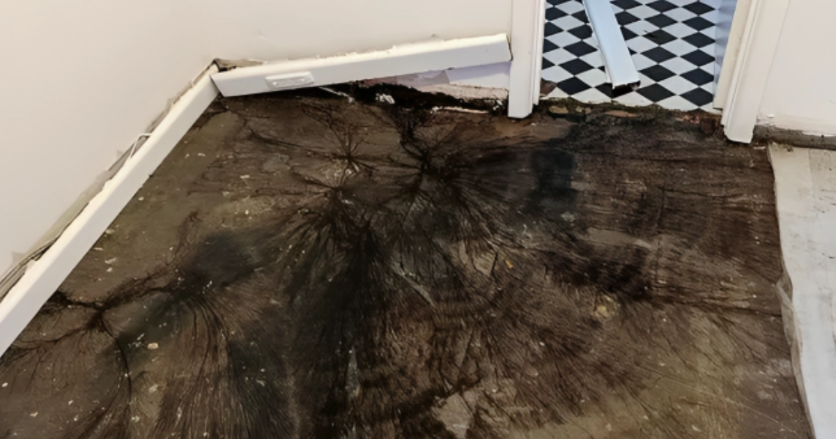 "Što je ovo?": Žena se šokirala kad je vidjela što joj je ispod podova