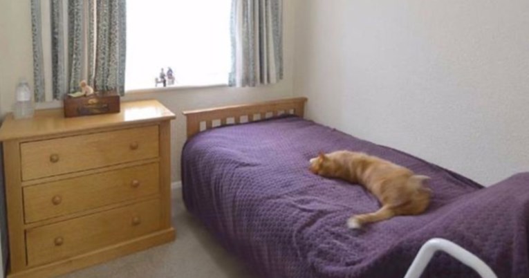 Muškarac pogledao kuću koju prodaje susjed i otkrio da njegova mačka vodi tajni život