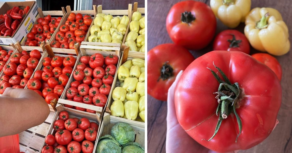 U Slavoniji smo kupili domaće povrće uz cestu - evo koliko smo sve platili
