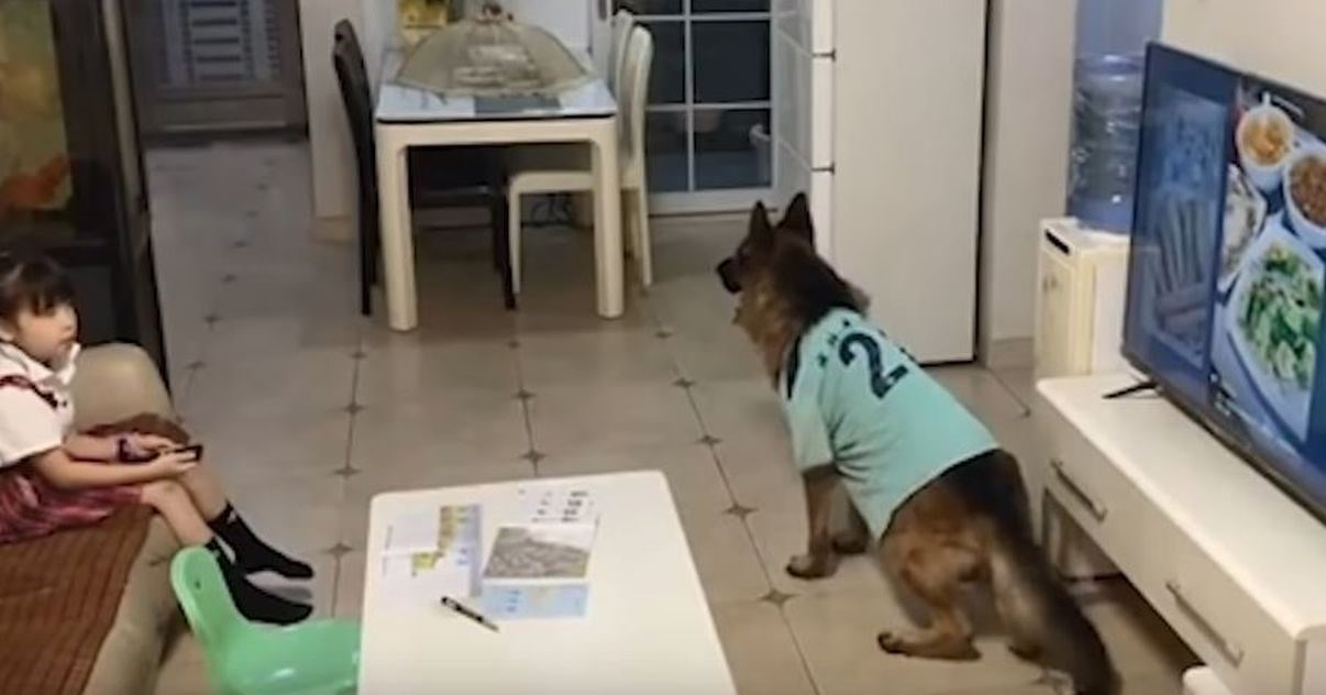Pas držao stražu djevojčici da bi ona mogla gledati TV dok roditelji nisu u kući