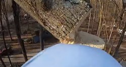 VIDEO Prepilio drvo pa nije mogao vjerovati kako se savršeno zabilo u tlo